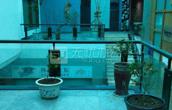  - 晶都贏家