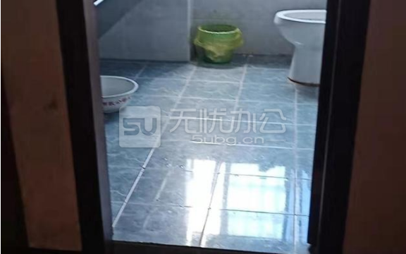  - 鼎盛時代