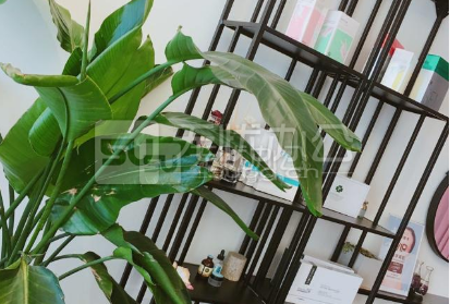  - 濱江商業廣場